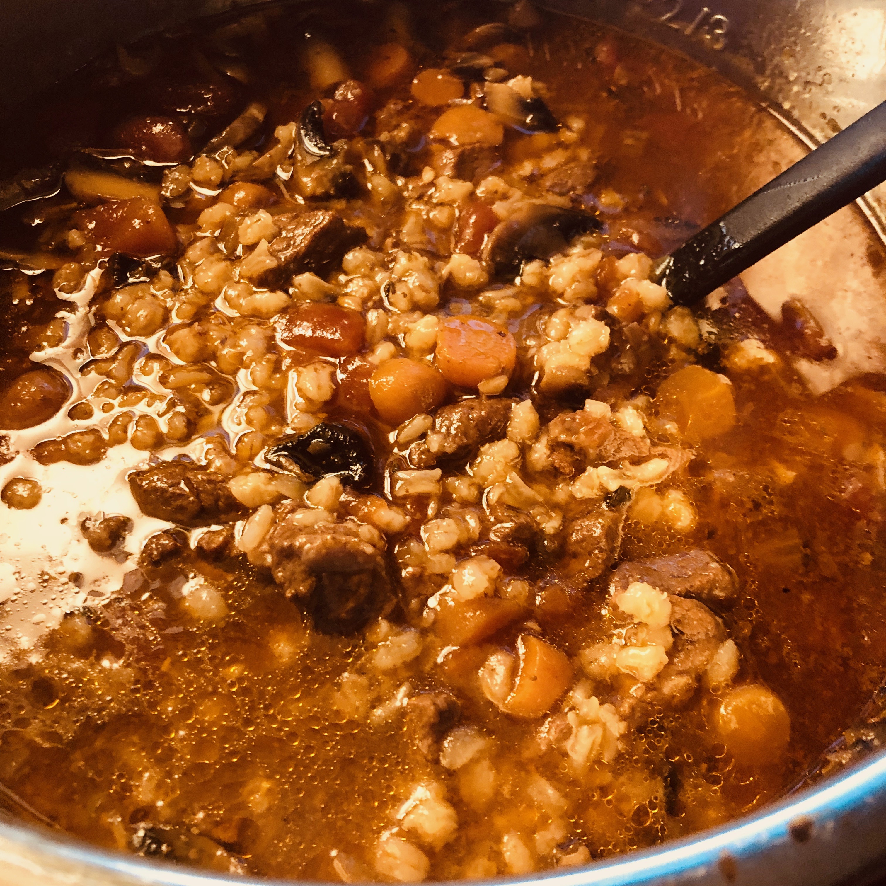 https://www.simchafisher.com/wp-content/uploads/2019/02/beef-barley-soup-in-IP.jpg